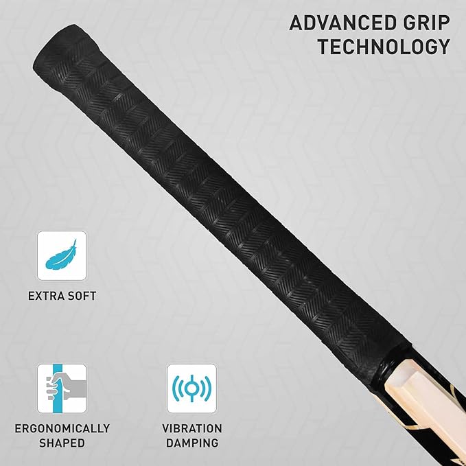 GM Noir Striker Kashmir Willow Cricket Bat