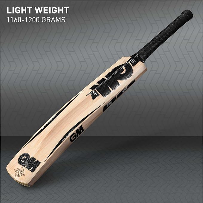 GM Noir Striker Kashmir Willow Cricket Bat