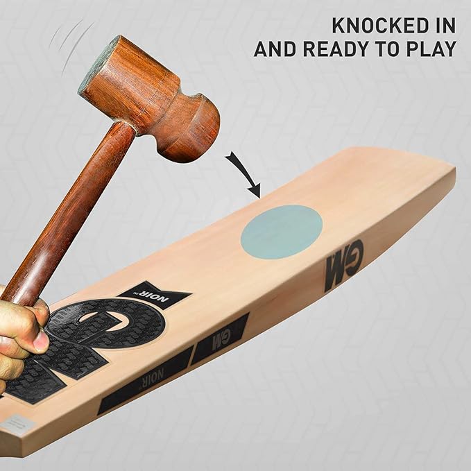 GM Noir Striker Kashmir Willow Cricket Bat