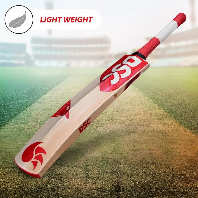 DSC IBIS 75 English Willow Cricket Bat