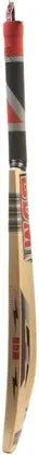 BDM Club Master Kashmir Willow Cricket Bat