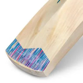 DSC BLU 22 Kashmir Willow Cricket Bat