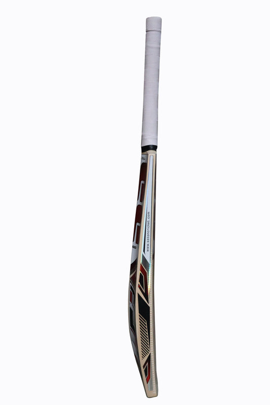 SS Master Kashmir Willow Cricket Bat