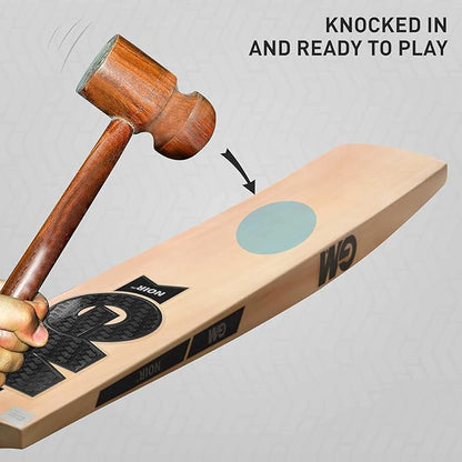 GM Noir Striker Kashmir Willow Cricket Bat
