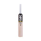 DSC Super Control Kashmir Willow Tennis Bat