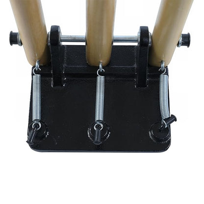 Wooden Cricket Stumps with Spring