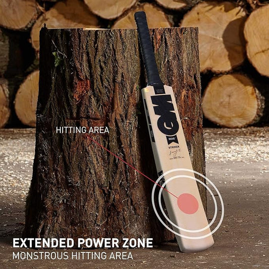 GM Noir Striker Kashmir Willow Cricket Bat