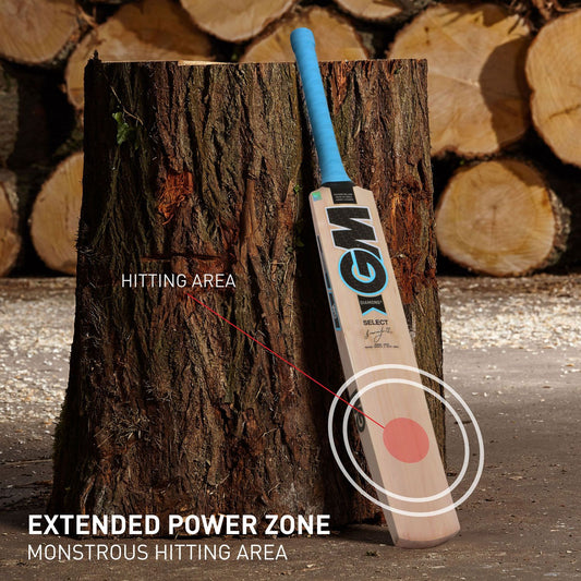 GM Diamond Select Kashmir Willow Cricket Bat