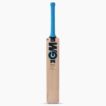 GM Diamond Select Kashmir Willow Cricket Bat