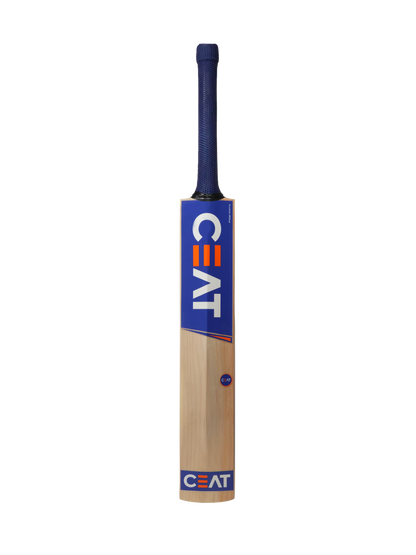 CEAT Formidable Kashmir Willow Cricket bat